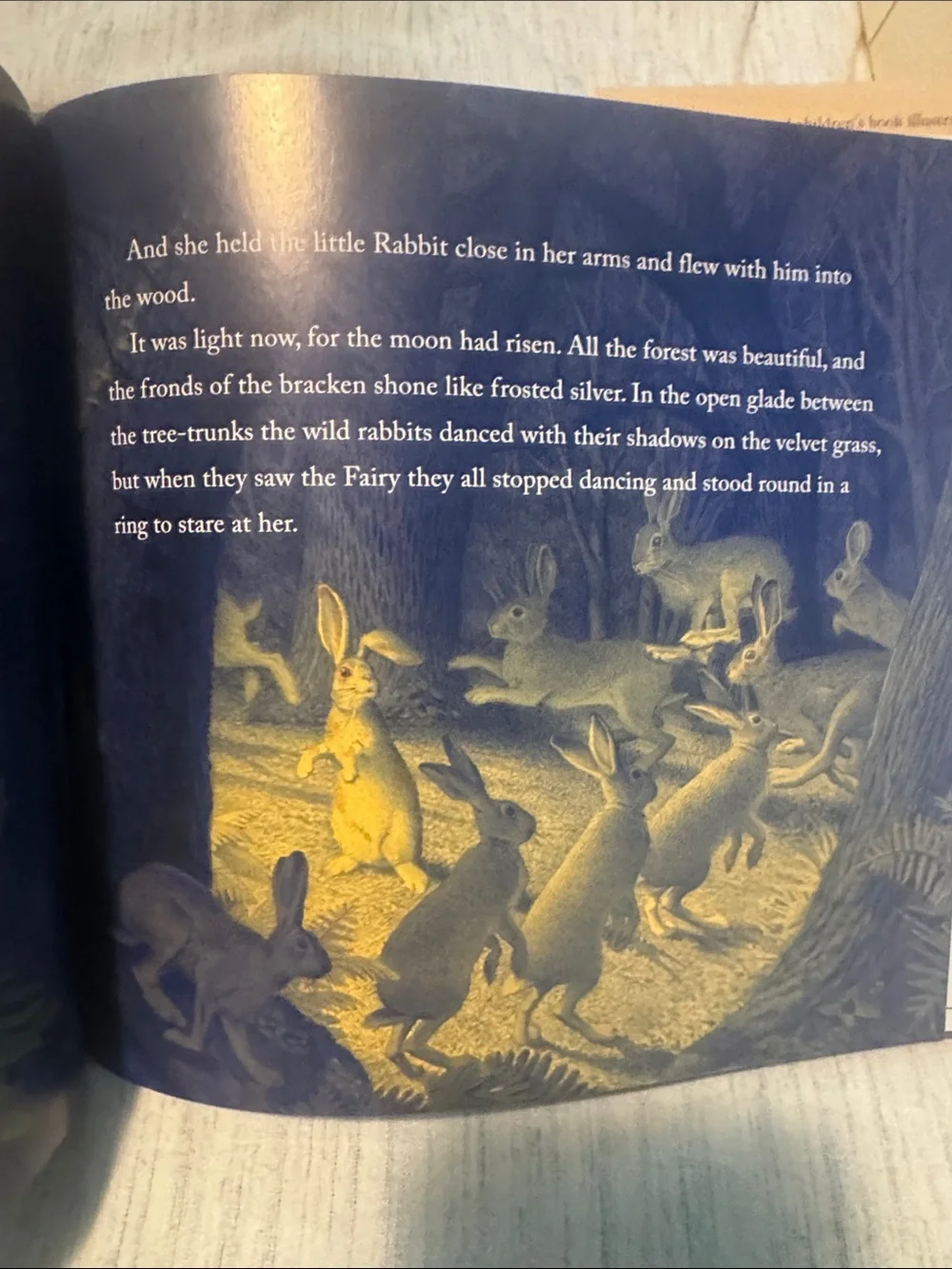 N/A velveteen rabbit
